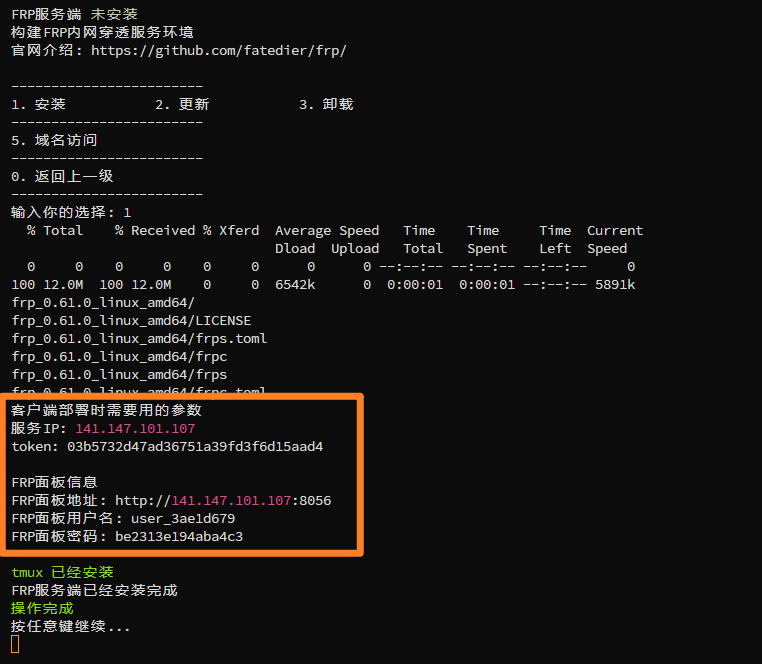 内网穿透:简单的FRP内网穿透教学