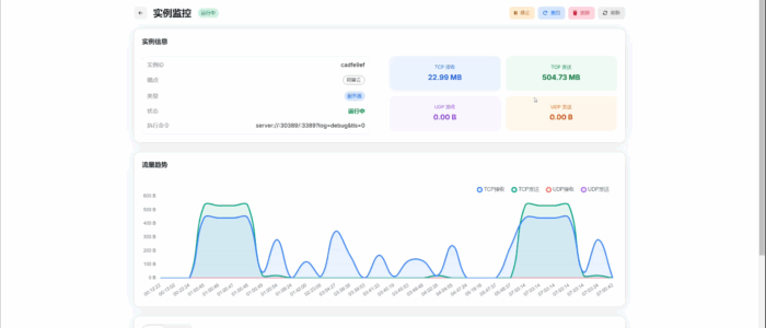 NodePassDash：NodePass的可视化面板